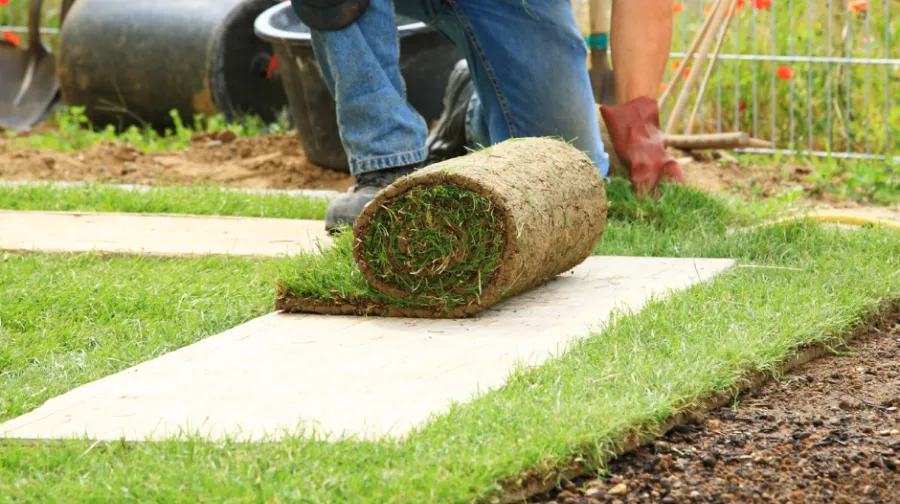 Roll of sod installed in lawn in Raeford, NC