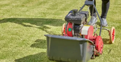 commercial landscaping local