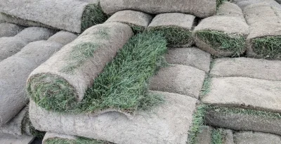 lawn sod install spring lake nc