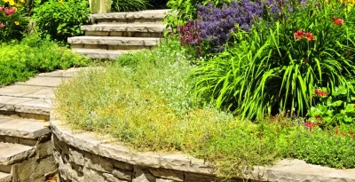 yard maintenance local raeford nc